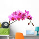 pink orchid Wall Decal