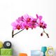 pink orchid Wall Decal