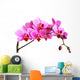 pink orchid Wall Decal