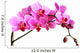 pink orchid Wall Decal
