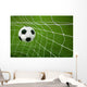 Goal. a soccer ball in a net. Wall Mural