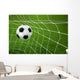 Goal. a soccer ball in a net. Wall Mural
