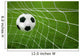 Goal. a soccer ball in a net. Wall Mural