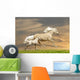 Ponies Running in Sunset Wall Mural