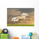 Ponies Running in Sunset Wall Mural
