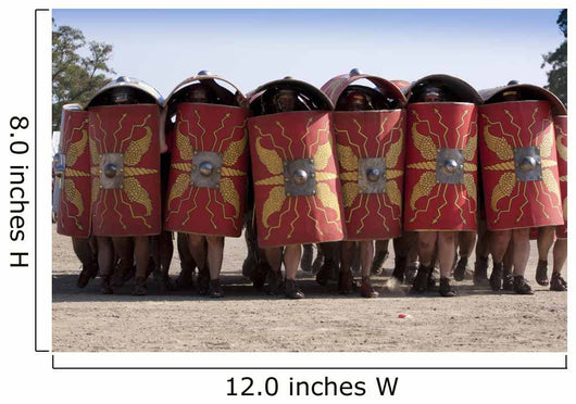 Roman Turtle