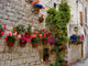 Colorful flowers lining a medieval stone wall in Italy Wall Mural