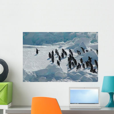 Penguin Group with Leader Wall Decal shown on a wall