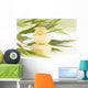 Concepto Zen Wall Mural