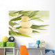 Concepto Zen Wall Mural