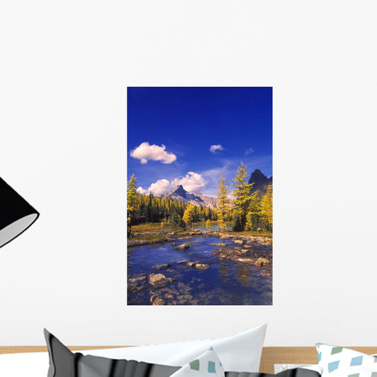 A Scenic Creek Wall Mural