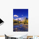 A Scenic Creek Wall Mural