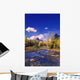 A Scenic Creek Wall Mural