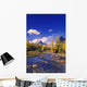 A Scenic Creek Wall Mural