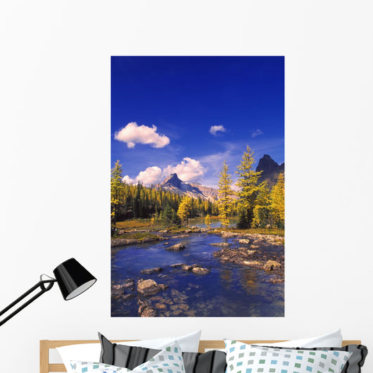 A Scenic Creek Wall Mural