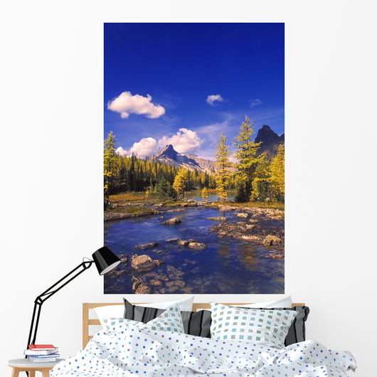 A Scenic Creek Wall Mural