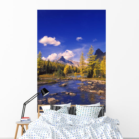A Scenic Creek Wall Mural