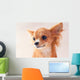 Pretty Red Chihuahua Puppy Wall Mural