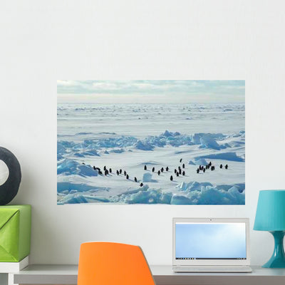 Penguin Group Icescape Wall Decal shown on a wall