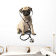 Dog With Stethoscope Wall Decal