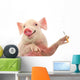 Pig Smoking Cigarette Wall Mural