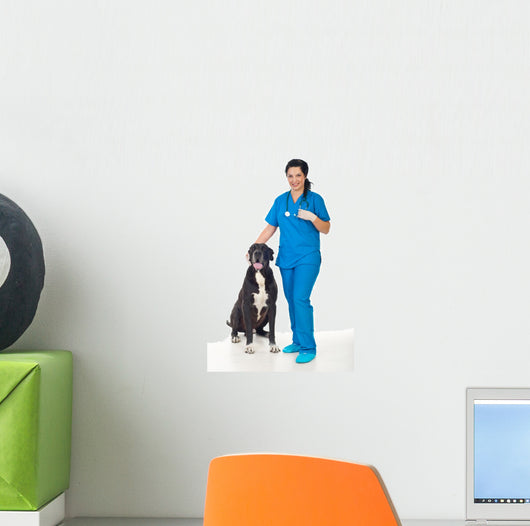 Veterinary with Great Dane