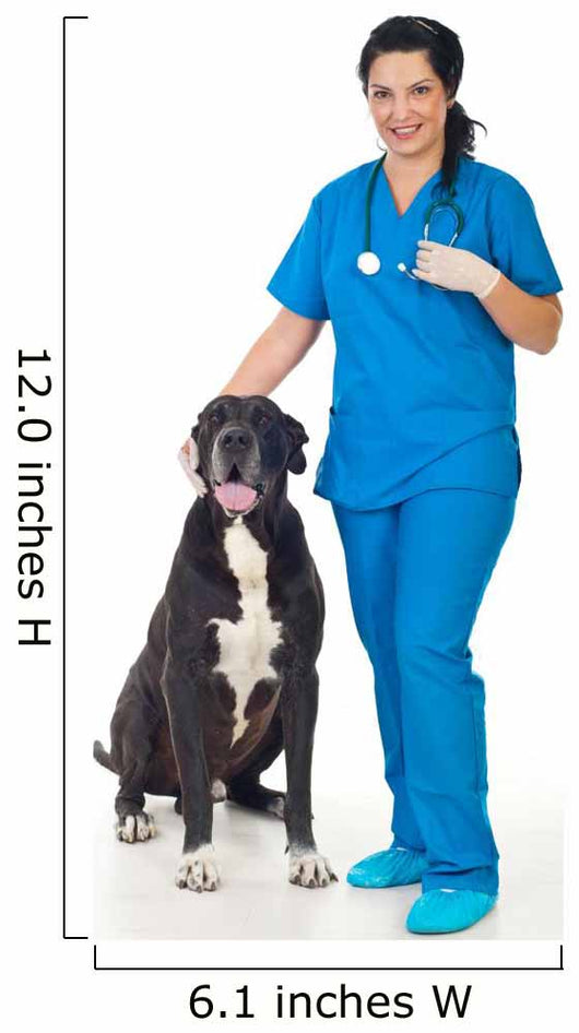 Veterinary with Great Dane