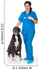 Veterinary with Great Dane