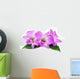 Orchid