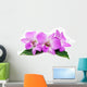Orchid