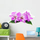 Orchid