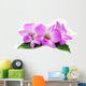 Orchid