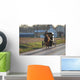 Amish Horse and Buggy Wall Mural