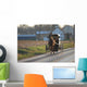 Amish Horse and Buggy Wall Mural