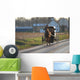 Amish Horse and Buggy Wall Mural
