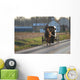 Amish Horse and Buggy Wall Mural