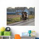Amish Horse and Buggy Wall Mural