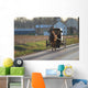 Amish Horse and Buggy Wall Mural