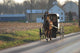 Amish Horse and Buggy Wall Mural