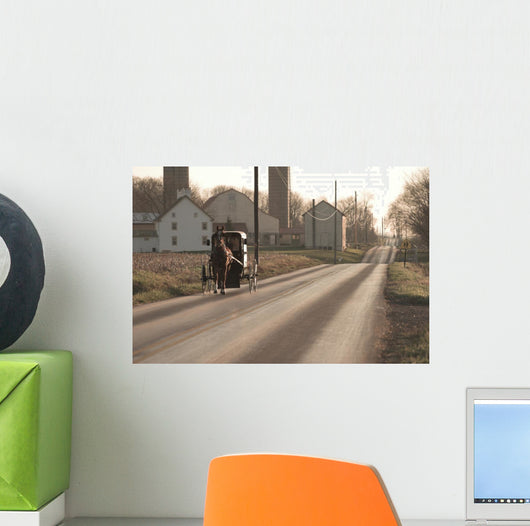 Amish Horse and Buggy