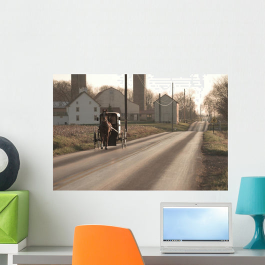 Amish Horse and Buggy