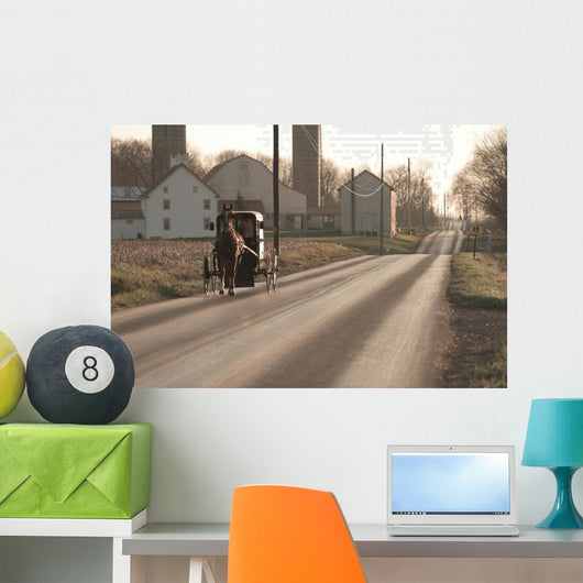 Amish Horse and Buggy