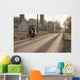 Amish Horse and Buggy