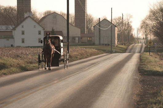 Amish Horse and Buggy