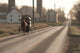 Amish Horse and Buggy