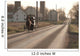 Amish Horse and Buggy