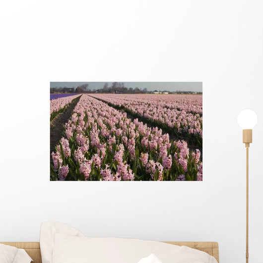 Hyacint Fields Holland Wall Decal