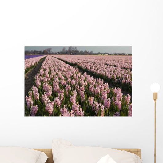 Hyacint Fields Holland Wall Decal