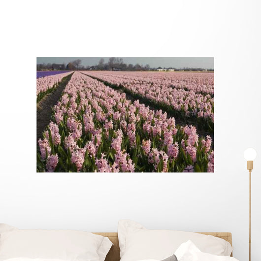 Hyacint Fields Holland Wall Decal