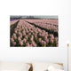 Hyacint Fields Holland Wall Decal